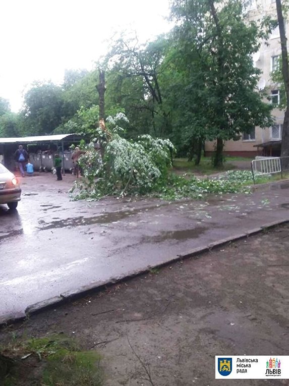 Разрушительный ураган во Львове