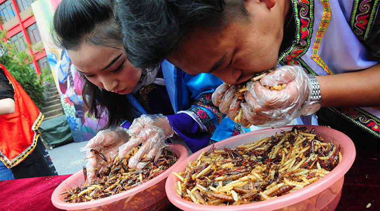 Конкурс по поеданию насекомых в Китае
