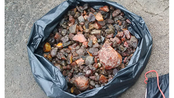 Полиция изъяла в Ровенской области почти 5 кг янтаря