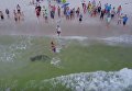 Рыбак поймал огромную рыбу-молот прямо на пляже во Флориде. Видео