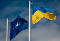 Национальный флаг Украины и флаг Организации Североатлантического договора (НАТО)