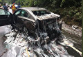 В Орегоне живые угри из перевернутого грузовика залили слизью участников ДТП