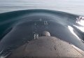 Российский атомный подводный крейсер Томск провел пуск крылатой ракеты. Видео