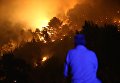 Лесной пожар в курортном городе Сплит, Хорватия