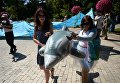Акция за права дельфинов