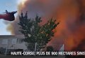 На Корсике и Французской Ривьере бушуют лесные пожары