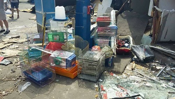 Во время сноса зоомагазина на Лесном рынке в Киеве погибли животные