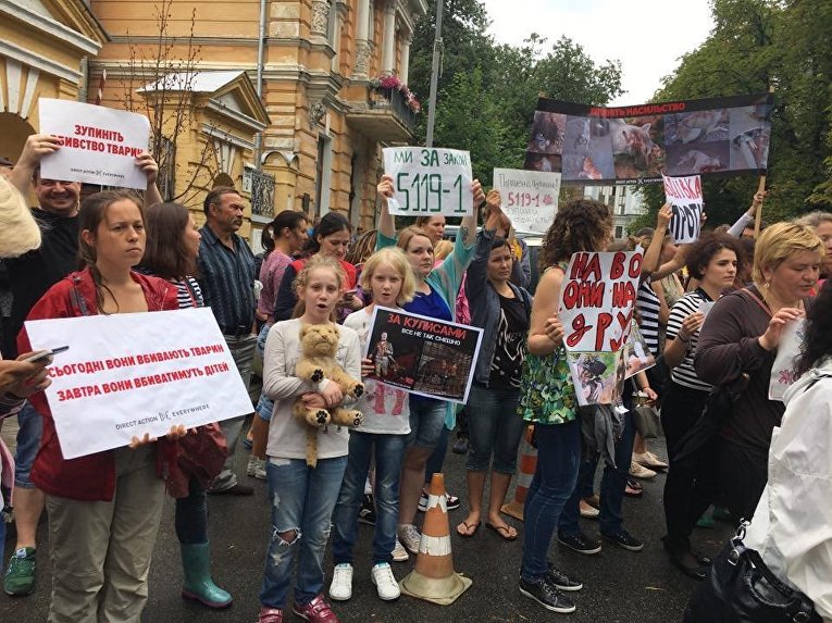 Под АП в Киеве столкнулись митингующие зоозащитники и циркачи