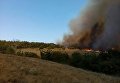 Лесной пожар в Николаевской области
