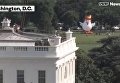У Белого дома установили гигантского надувного цыпленка с прической Трампа. Видео