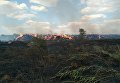 Пожар в лесу. Архивное фото