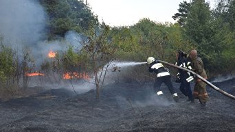 Масштабный лесной пожар в Днепропетровской области