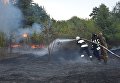 Масштабный лесной пожар в Днепропетровской области