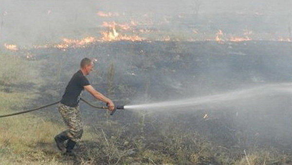 Пожар на территории Днепровского лесничества Цюрупинского лесного хозяйства Херсонской области