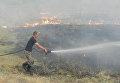 Пожар на территории Днепровского лесничества Цюрупинского лесного хозяйства Херсонской области