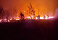 В Житомирской области горит заповедный лес