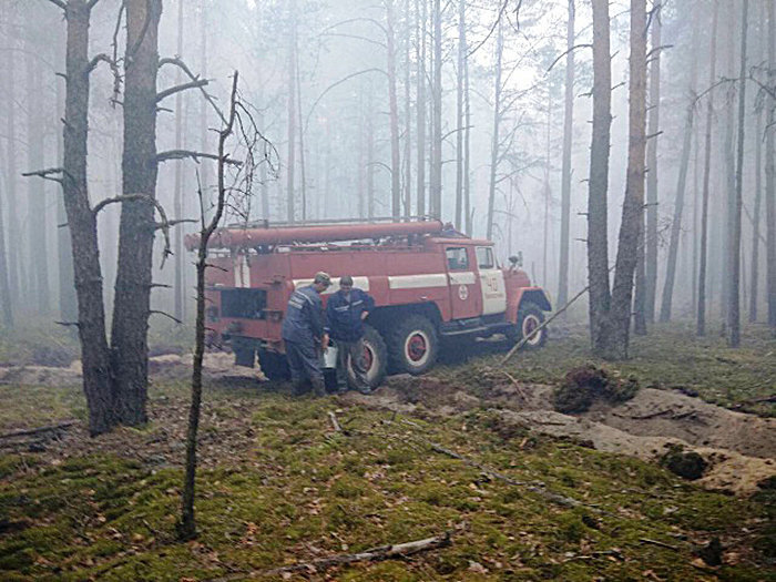 В Житомирской области горит заповедный лес