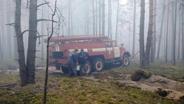 Масштабный пожар в заповеднике в Житомирской области