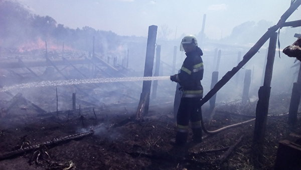 Пожар на территории Малиновского лесничества в Луганской области