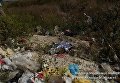Помойка в Тернопольской области, на которой нашли труп новорожденного ребенка