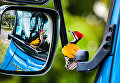 Работа фотографа Kelvin Dao Woodpecker in car mirror завоевавшая, почетное упоминание в категории Птицы в саду в конкурсе Bird Photographer of the Year 2017