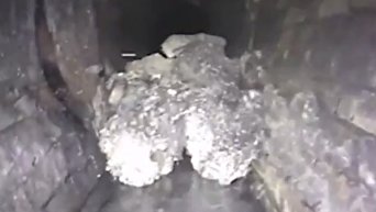 В Лондоне водопроводчики 3 недели выгребали из канализации гигантский жирберг. Видео