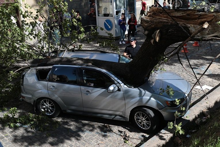 Упавшее дерево разгромило автомобиль депутата Оксаны Юринец в центре Львова