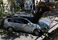 Упавшее дерево разгромило автомобиль депутата Оксаны Юринец в центре Львова