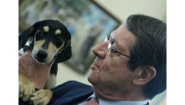 Президент Кипра взял с приюта собаку
