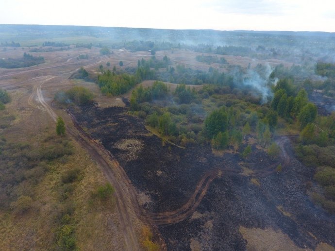 Торфяные пожары в Черкасской области