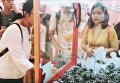 В Китае появились крабовые автоматы