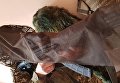 Украинские снайперы получат новый маскировочный костюм