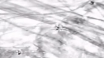 Видео удара по командованию «Джабхат ан-Нусры» в Сирии