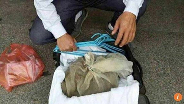 Китайский контрабандист был задержан при попытке провезти в чемодане 50 ядовитых змей в провинции Чжэцзян