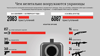 Чем нелегально вооружаются украинцы. Инфографика