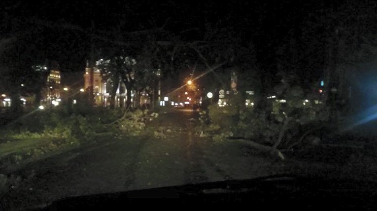 Последствия ночной бури во Львовской области