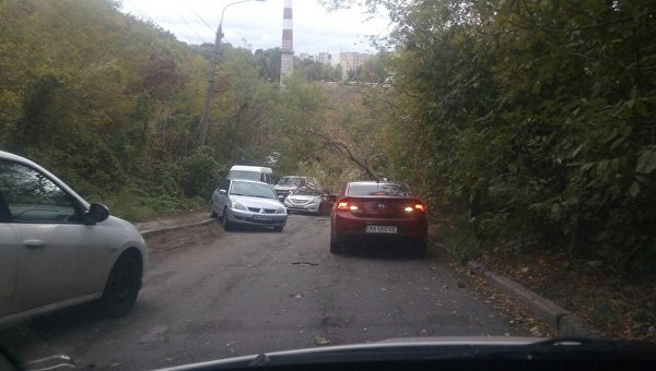 В Киеве на авто упало дерево