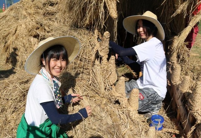 Звери-гиганты на рисовых полях в Японии