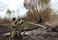Борьба с пожаром на торфяниках в Черкасской области