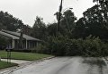 Последствия урагана Нэйт в США