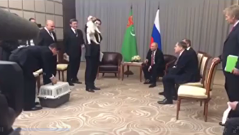 Путину дарят алабая