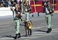 Национальный день Испании в Мадриде. Военный парад.