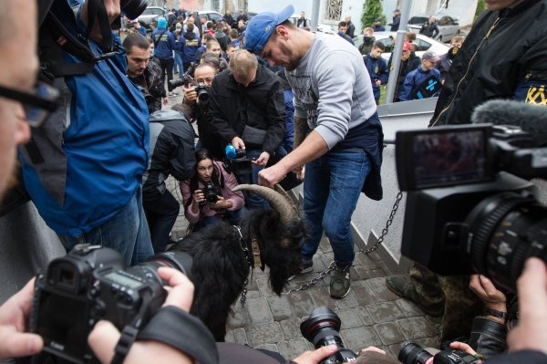 Акция Национальный корпус дарит козла для Президента Чехии под посольством Чехии в Украине