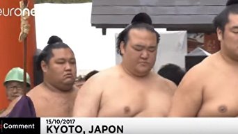 Японские богатыри: ритуал борцов сумо в Киото