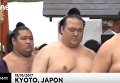 Японские богатыри: ритуал борцов сумо в Киото