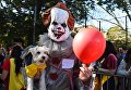Собачий Хэллоуин-парад в Нью-Йорке