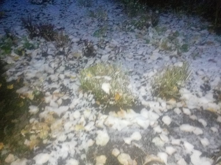Первый снег в Чернигове