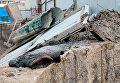 Масштабная стройка в Киеве едва не привела к экологической катастрофе