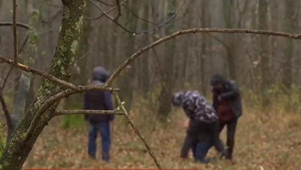 В Коломые подростка вывезли в лес, раздели и избили