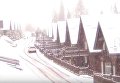 Появилось видео снежной бури, которая бушует и валит деревья на Закарпатье